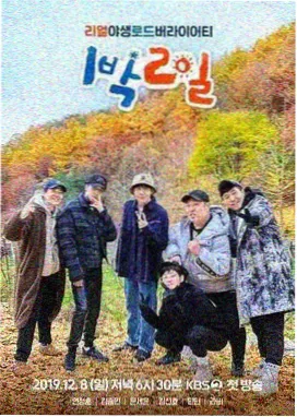 星河影院 综艺 乘风破浪